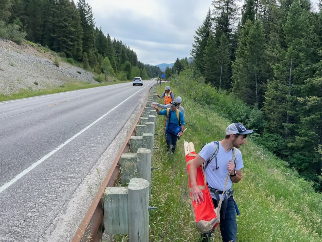 Trail crew scouting the route alongside Highway 22